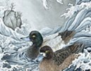 水鳥