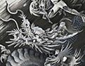 龍画